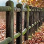 Quod tenetur harum quis quasi non iste.